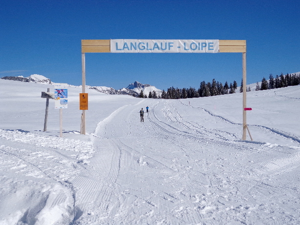 Dario Cologna Event auf der Lombachalp 4.-6. Klasse